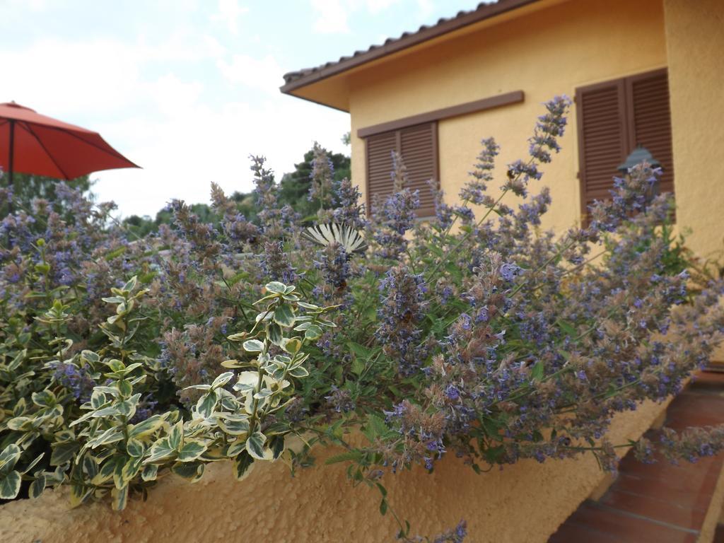 Rifugio Al Sole Villa Reggello Bagian luar foto